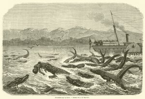 Crocodiles sur le Chire (engraving) 作者 法语学校