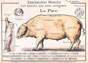 猪肉的削减，来自H. de Puytorac的法国国内科学手册的插图，由版本Fernand Nathan出版，19世纪末