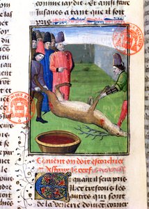 通过Gaston Phebus de Foix（1331-91）从Livre de la Chasse切割死雄鹿的腿 作者 法语学校