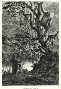 在这天庭（版画） 作者 法语学校