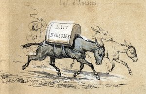 描述驴子的不同产品和用途：驴子驮着丹麦人的牛奶。Jules DELBRUCK创作的 "Les Recreations instructives "中的 "驴子及其产品 "板块细节，1860年的雕刻。私人 作者 法语学校
