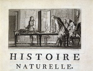 Dissection des animaux - in “” Histoire naturelle, générale et particular”” by Buffon 作者 法语学校