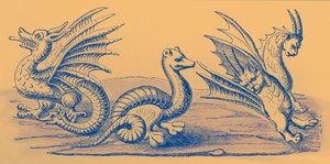 龙 作者 法语学校