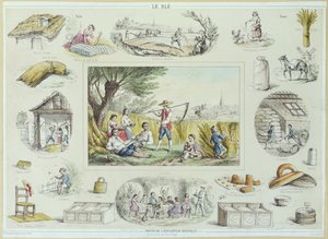 玉米的教育插图，c.1860-70（彩色雕刻） 作者 法语学校