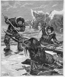 爱斯基摩人--捕捞海象--爱斯基摩人--1888年捕捞海象--《航海日志》中的版画 1888年 作者 法语学校
