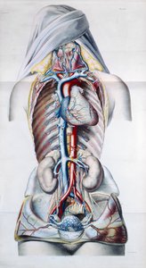 Exanthemata，皮肤病的理论治疗和实践Pierre Francois Olive Rayer（1793-1867）1835 作者 法语学校