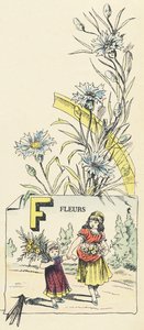F：花 作者 法语学校