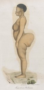 波希斯曼种族的女性"。这幅版画显然是 Sara (Saartjie) Baartman（1789-1815 年）的肖像，她是一名从南非带来的科伊桑人，被冠以 "霍屯督维纳斯 "的头衔在皮卡迪利广场公开展出，因为她在南非被称为 "霍屯督维纳斯"。 作者 法语学校
