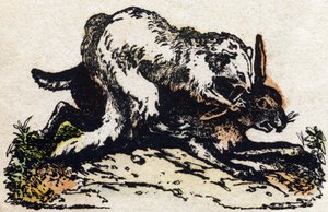 雪貂。 雕刻在“”Alphabet des animaux sauvages””。 第 9 个系列。 埃皮纳勒 (Epinal)、佩勒林 (Pellerin) 的图像，大约 1870 年。木版画，钢印。 16 页。 昏暗：20 x 15 厘米。 私人收藏 作者 法语学校