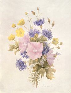 Field Flowers，1842（纸上写着） 作者 法语学校