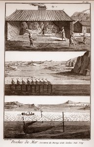 钓鱼、鲱鱼和沙丁鱼 - Peches de Mer - Sorretterie des herring et des sardines - "La Grande Encyclopedie, ou Dictionnaire Raisonne des Sciences, des Arts et des Metiers" (Encyclopedia or Dictionary of the Sciences, Arts and Professions) by Deni 作者 法语学校