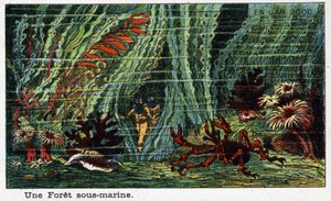 Futuredays: A Nineteenth Century Vision of the Year 2000 - Series “” En l