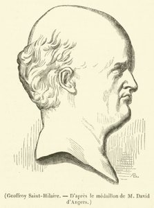 Geoffroy Saint-Hilaire (雕刻) 作者 法语学校