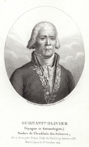 Guillaume Antoine Olivier 作者 法语学校
