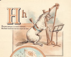H：竖琴师辨别出，这匹黑马宣言对他的驴子无视 作者 法语学校