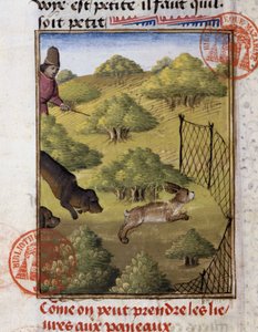 狩猎野兔--载于 "Foix伯爵、Béarn领主Gaston Phoebus的狩猎书" 作者 法语学校