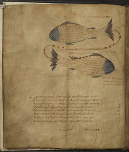 哈雷 647，f.3v 双鱼座插图，选自马库斯-提利乌斯-西塞罗的