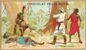 Hunting orangutan (chromolitho) 作者 法语学校