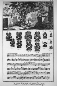Hunting the wolf (different ways or traps to take the wolves) - “” The Great Encyclopedie, ou Dictionnaire Raisonne des Sciences, des Arts et des Metiers”” (Encyclopedia or Dictionary of the Sciences, Arts and Professions) by Denis Diderot (1713-1784) and  作者 法语学校