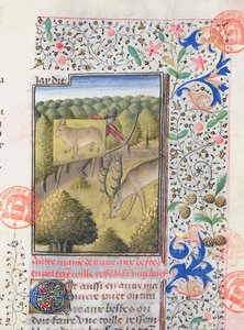 亨斯曼在追逐雄鹿时隐藏自己的诱饵，来自Livre de la Chasse的Gaston Phebus de Foix（1331-91） 作者 法语学校