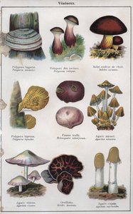 H M Menier 博士为《mon docteur - traite de medecine et d