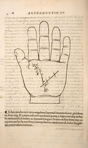 来自Chiromantia的插图，由Joannes Indagioe，斯特拉斯堡，1531年（印刷和雕刻） 作者 法语学校