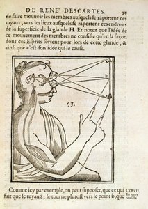 Rene Descartes（1596-1650）的De Homine Figuris的插图于1662年在海牙出版 作者 法语学校