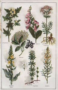 H.M.Menier 医生的《Mon docteur - Traite de Medecine et d