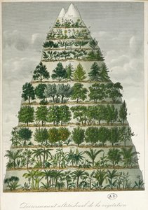 不同类型的植被在不同海拔高度的插图 作者 法语学校