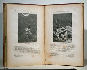 朱尔斯凡尔纳（1828-1905）圆形月球的插图 作者 法语学校
