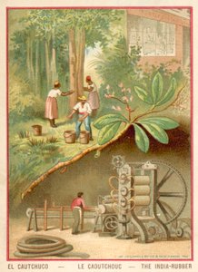 India rubber (chromolitho) 作者 法语学校
