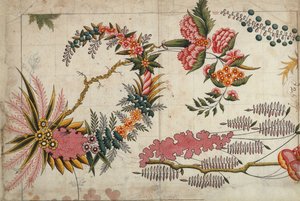 印度模特（wc在纸上） 作者 法语学校