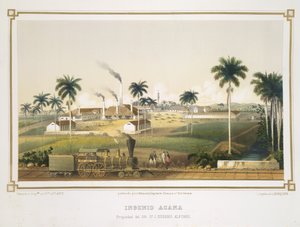 Ingenio Acana 作者 法语学校