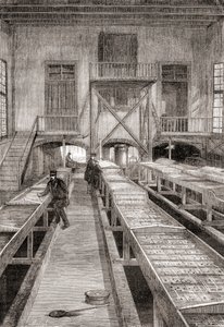 Interior of a 19th century fish farm in Huningue, France, from Les Merveilles de la Science, published c.1870 (engraving) 作者 法语学校