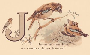 J：Young Jays 漂亮的球员和快乐的 Jolily！ 作者 法语学校