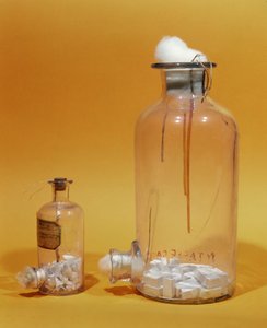Louis Pasteur（1811-95）在他的研究中使用的罐子（玻璃）