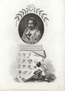 Tournefort的Joseph Pitton