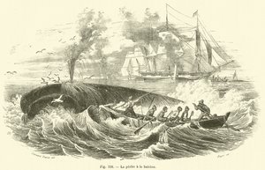 La peche a la baleine (engraving) 作者 法语学校