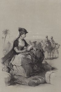 Lady Mary Wortley Montagu 作者 法语学校