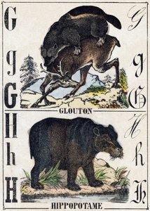 字母 G 贪食; H 河马。 雕刻在“”Alphabet des animaux sauvages””。 第 9 个系列。 埃皮纳勒 (Epinal)、佩勒林 (Pellerin) 的图像，大约 1870 年。木版画，钢印。 16 页。 昏暗：20 x 15 厘米。 私人收藏 作者 法语学校