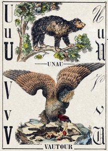 字母U Unau（懒惰）；V 秃鹫。雕刻在 "Alphabet des animaux sauvages "中。第9辑。埃皮纳尔的意象，Pellerin，印刷商-出版商，约1870年。木头上的雕刻，钢印。16页。尺寸：20 x 15厘米。私人收藏 作者 法语学校