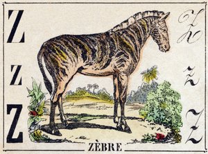 字母 Z Zebre。 雕刻在“”Alphabet des animaux sauvages””。 第 9 个系列。 埃皮纳勒 (Epinal)、佩勒林 (Pellerin) 的图像，大约 1870 年。木版画，钢印。 16 页。 昏暗：20 x 15 厘米。 私人收藏 作者 法语学校