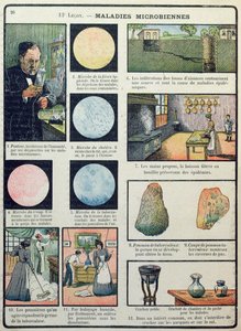 Louis Pasteur（1822-95）和细菌性疾病，来自巴黎的物理和自然科学，1908年 作者 法语学校