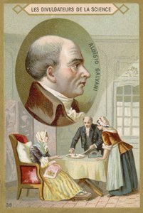 Luigi Galvani，意大利医生和物理学家 作者 法语学校