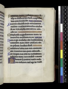 MS 300 f.75r，来自法国伊莎贝拉的诗篇和时辰，巴黎，约 1265-70 年（羊皮纸上的钢笔墨水和蛋彩画） 作者 法语学校