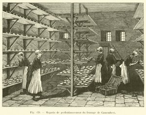 Magasin de perfectionnement du fromage de Camembert (engraving) 作者 法语学校
