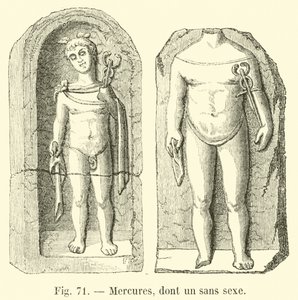 Mercures，包括一个没有性行为的人 作者 法语学校