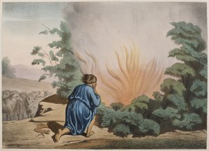 摩西和燃烧的布什，来自教理问答LHistoire Sainte的插图，由巴黎的Charles Delagrave出版，19世纪末 作者 法语学校