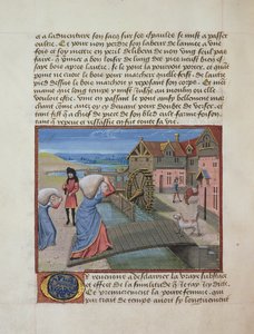 女士165 fol.48v A Watermill，来自Rene dAnjou的“一位年轻的王子”，c.1465-68 作者 法语学校