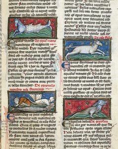 Ms 320 Fol.115r Sea Monsters，来自 Thomas van Cantimpre 的“De Natura rerum”（1201-72）（牛皮纸） 作者 法语学校